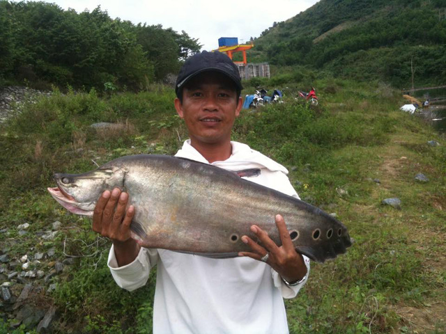 Một cần thủ câu được cá thác lác nặng tới 7 kg